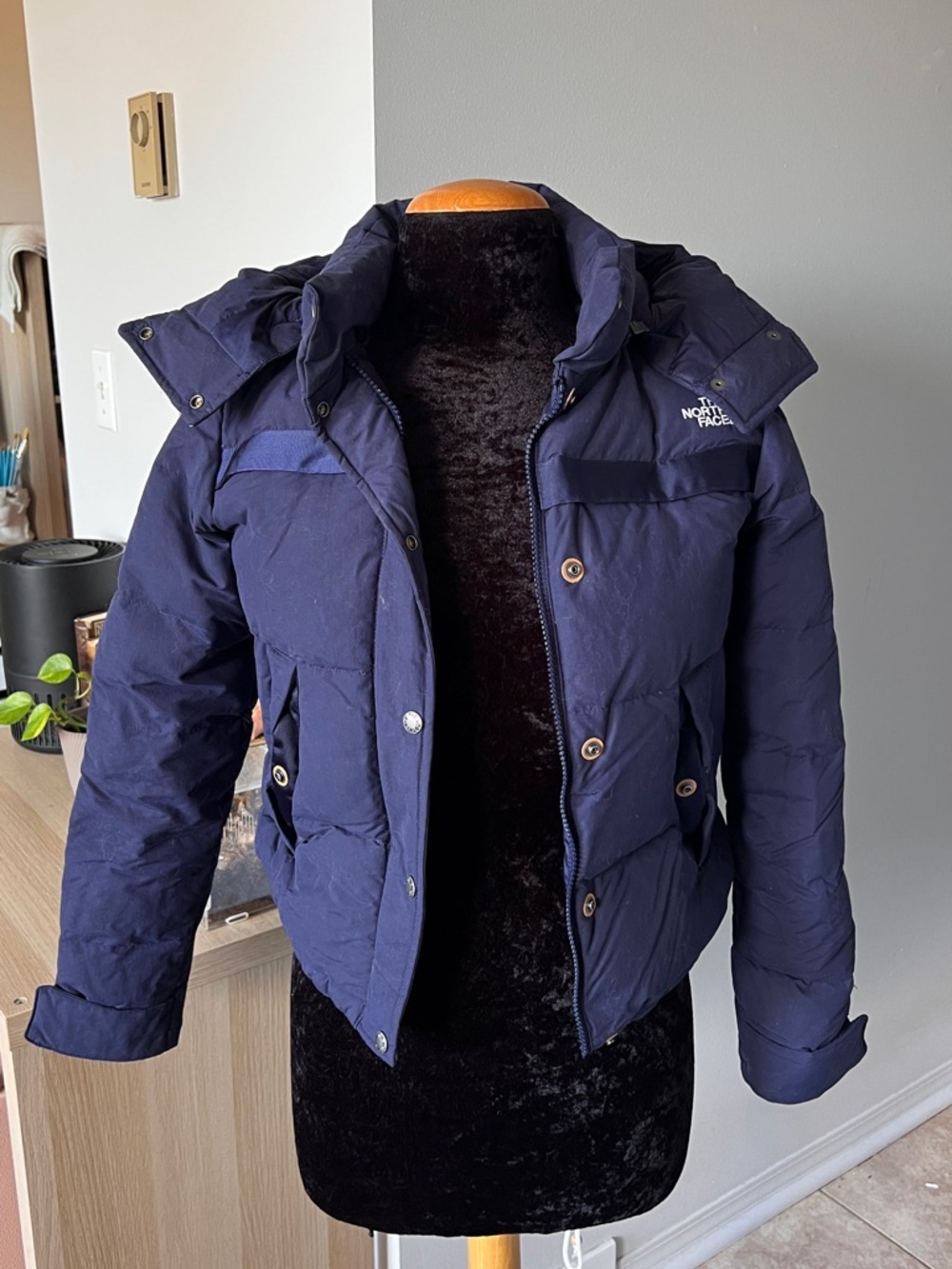 The North Face Women’s Forester 550 Down Puffer Jacket XS